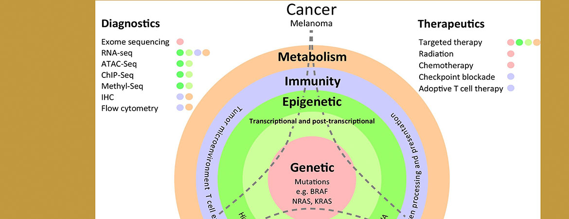 Genomic and Non-Genomic Alterations in Cancer Evolution