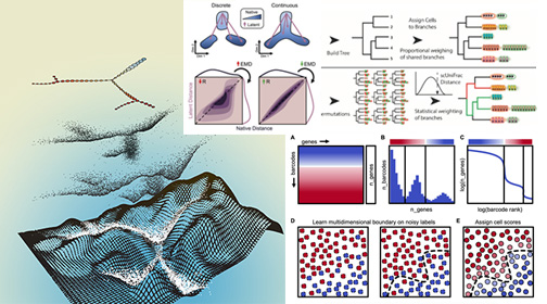 Computational Biology