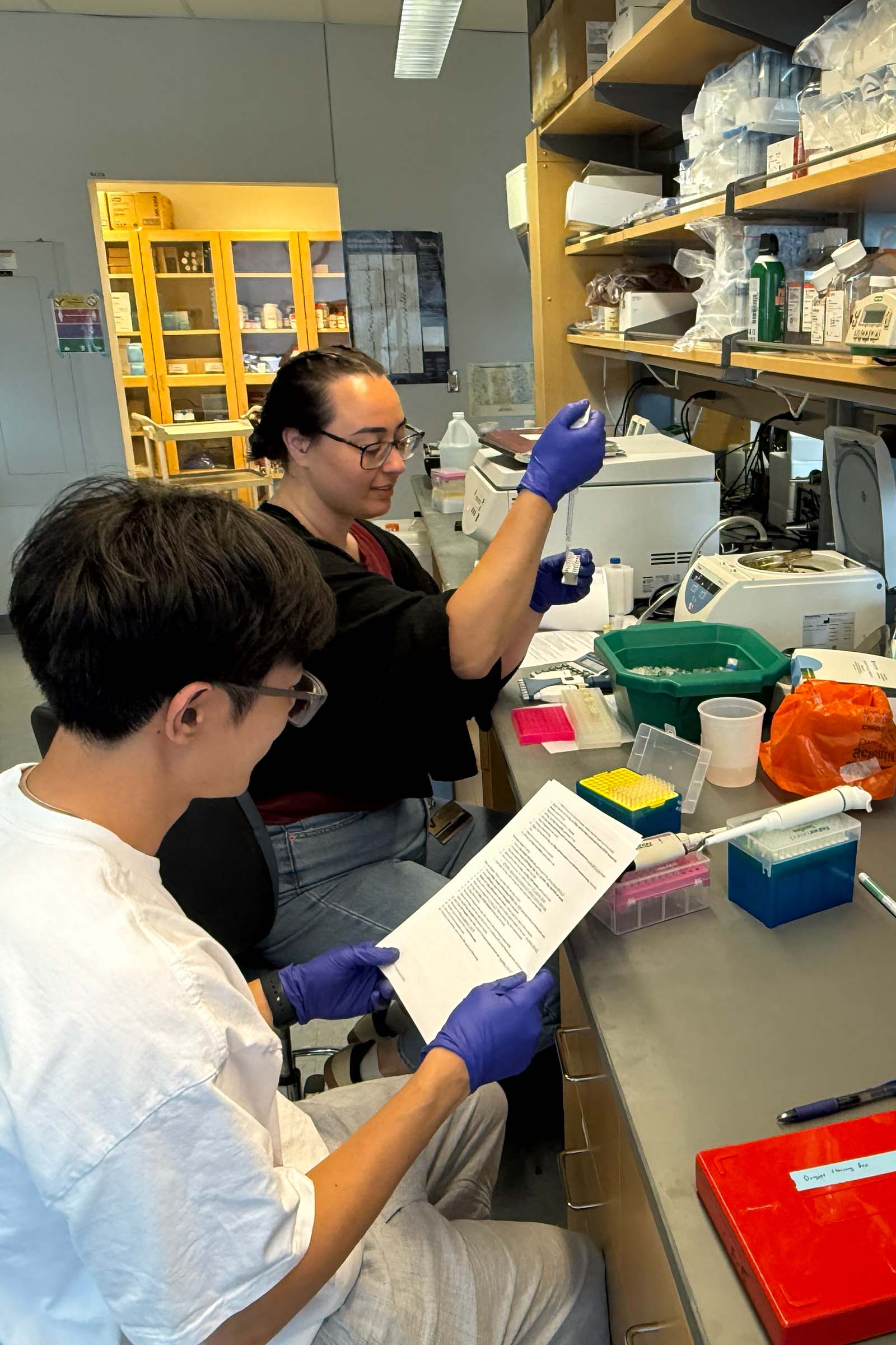 Lab Research