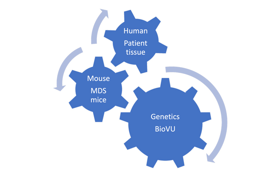 BIO VU graphic