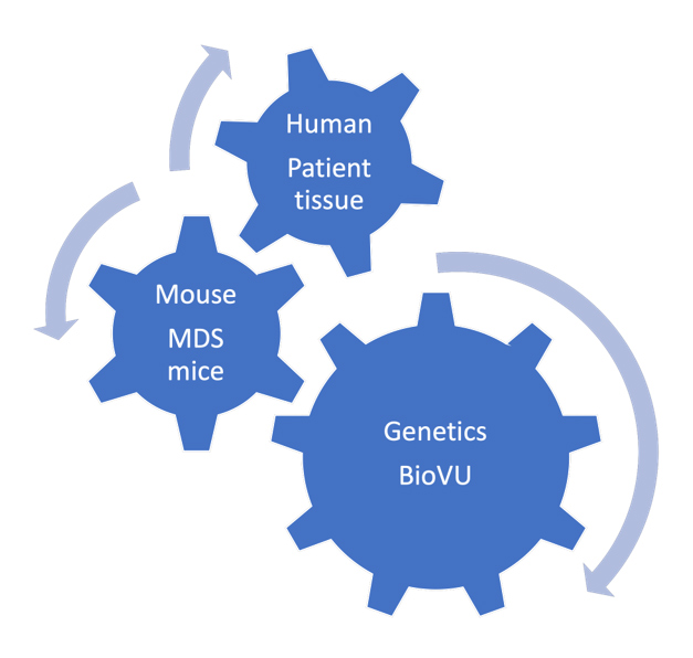 BIO VU graphic