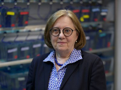 Dr. Ela Knapik in her lab