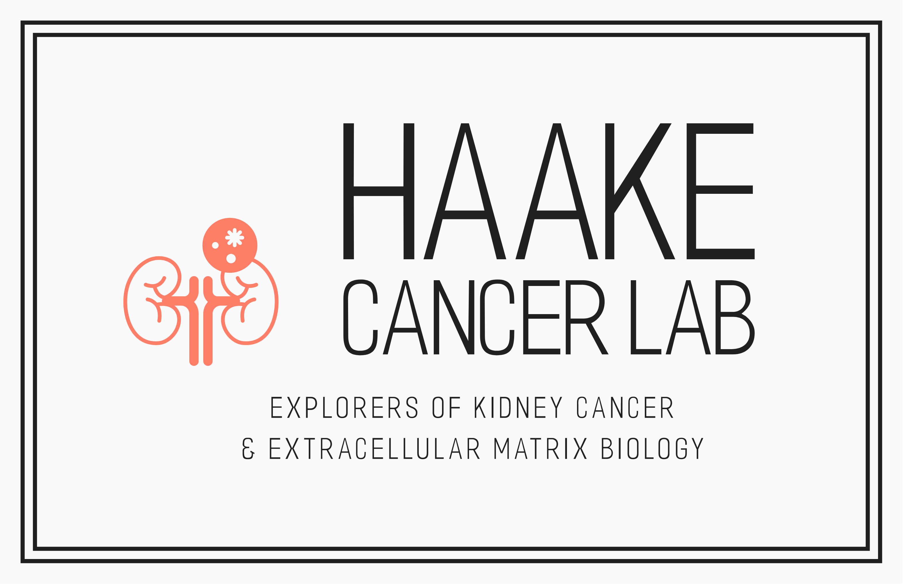 Haake logo