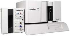 Luminex Multiplex