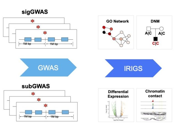 A section of a graphical abstract that illustrates how integrating traditional GWAS signals with sub-threshold genetic signals uncovers a new biological pathway.
