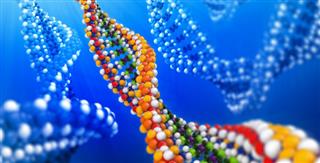 VUMC-led network to focus on polygenic risk for common diseases