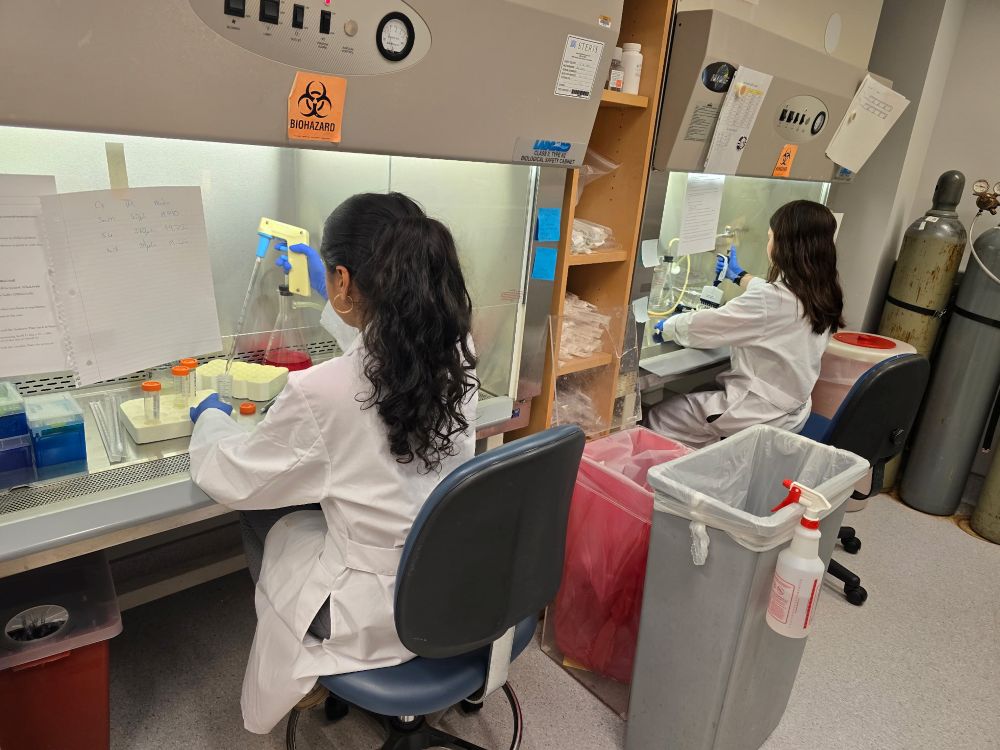 Two women in lab coats facing away from the camera work on a research project.