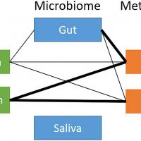 Multi-Omic Analysis of the Microbiome and Metabolome