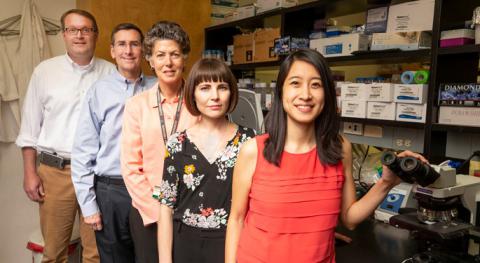 Team explores diabetes drug’s ability to treat RSV infection