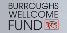 Burroughs Wellcome Fund logo