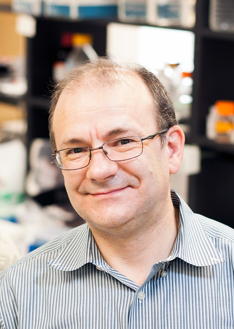 Luc Van Kaer, Ph.D.